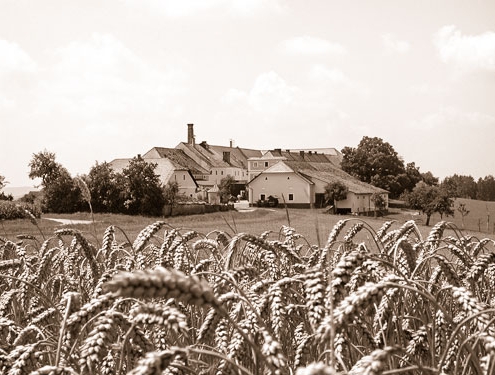 Freizeit-Brauerei-Hofstetten